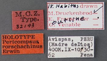 Media type: image;   Entomology 32143 Aspect: labels